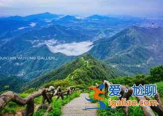 去深圳，体会繁华都市里的别样景致？