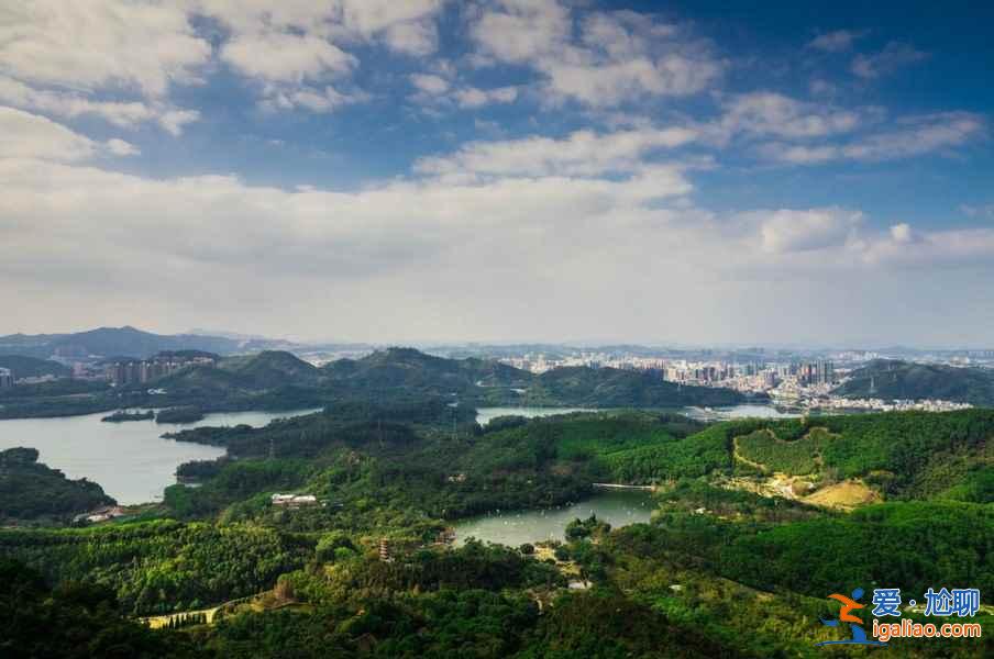 去深圳，体会繁华都市里的别样景致？