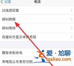 iphone12来电转移如何设置？