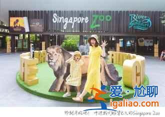 新加坡，一座活力四射的花园城市？