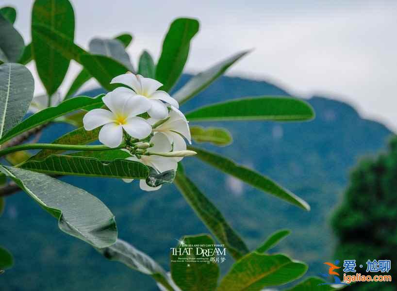 去普吉岛的最佳时间，普吉岛什么季节去最好？