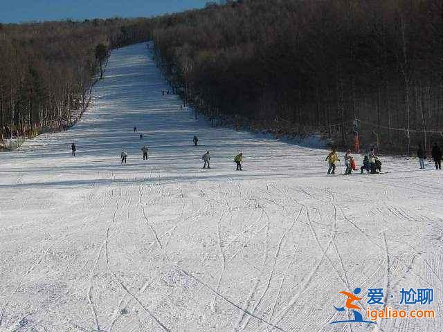 二龙山滑雪场跟其他滑雪场有什么不同，二龙山滑雪场与其他滑雪场相比有什么优势，二龙山滑雪场有什么特点？