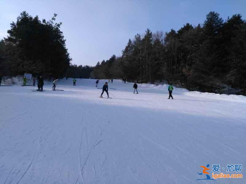 二龙山滑雪场跟其他滑雪场有什么不同，二龙山滑雪场与其他滑雪场相比有什么优势，二龙山滑雪场有什么特点？