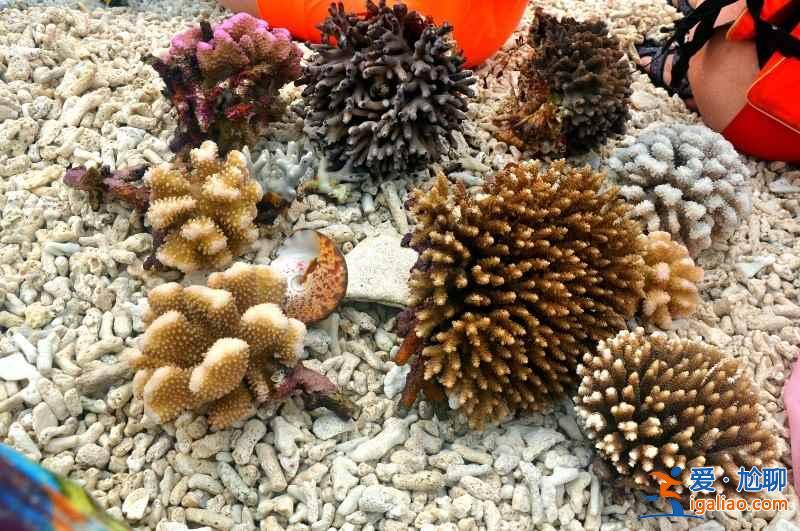 西沙群岛在哪儿，西沙群岛在哪个省，西沙群岛地理位置？
