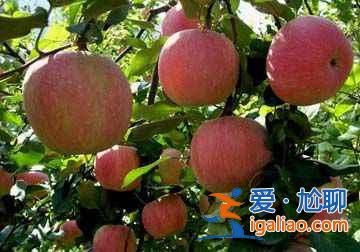 【十一北京秋游】赏红采摘登高 门头沟十一秋游线路？