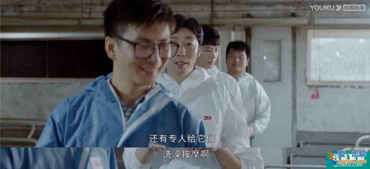 《平凡的荣耀》实习四人组队下乡啦！热血又搞笑的少年团谁能不爱？