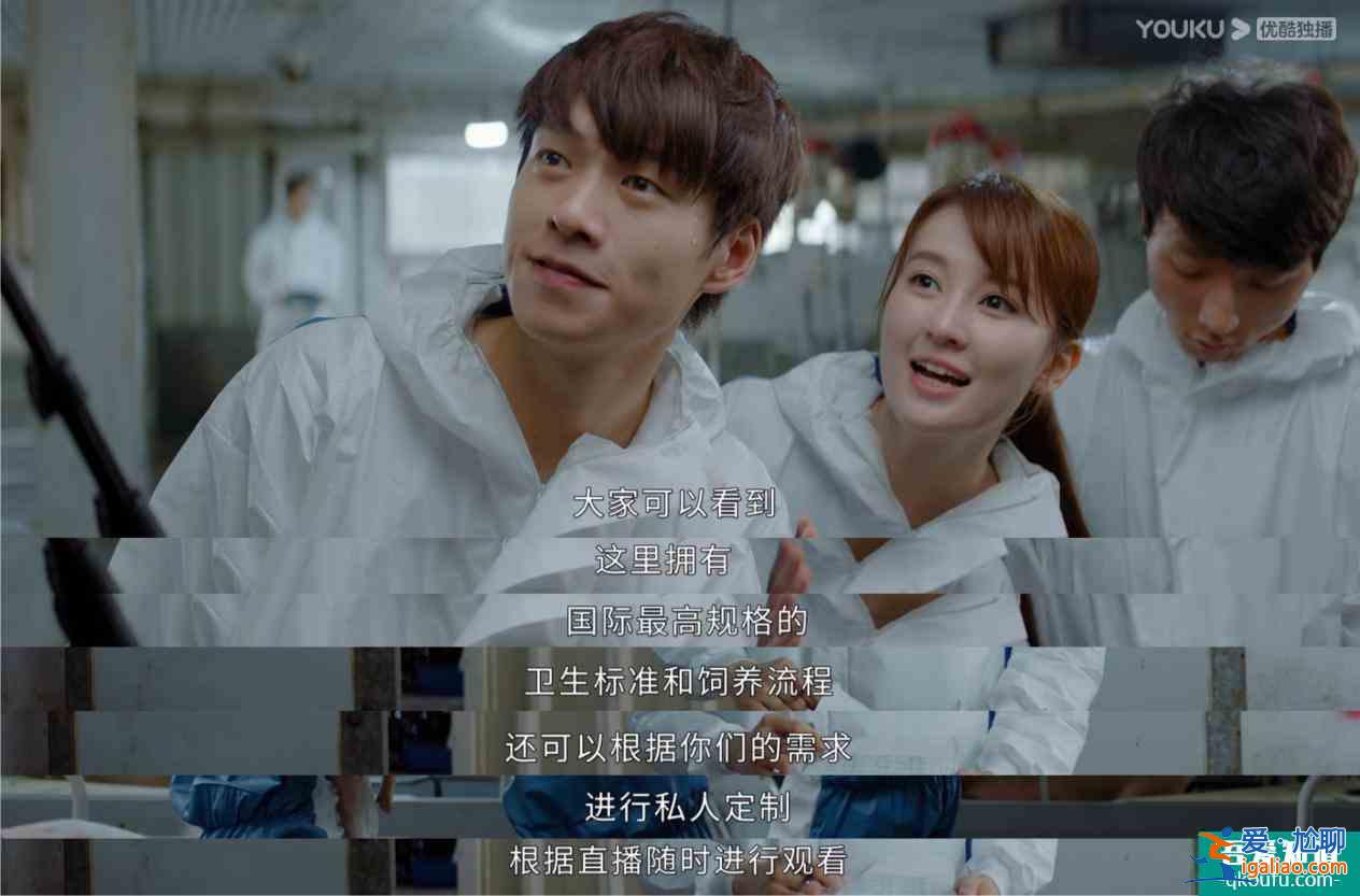 《平凡的荣耀》实习四人组队下乡啦！热血又搞笑的少年团谁能不爱？
