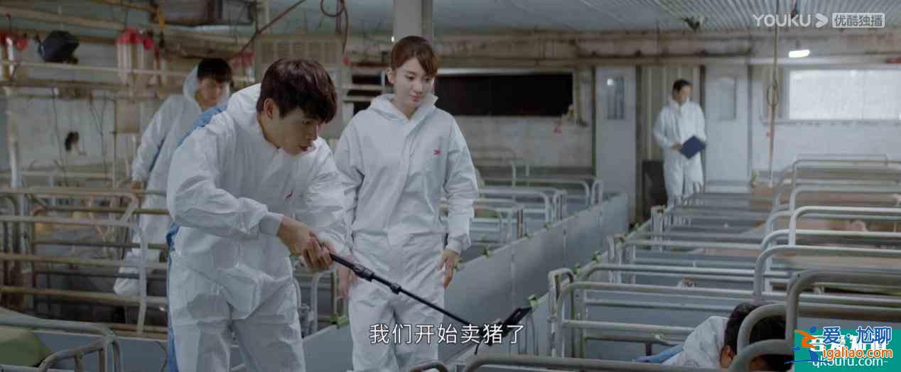 《平凡的荣耀》实习四人组队下乡啦！热血又搞笑的少年团谁能不爱？