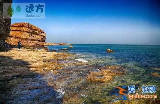 【山东长岛自助游】到长岛与万只海鸥成为朋友？