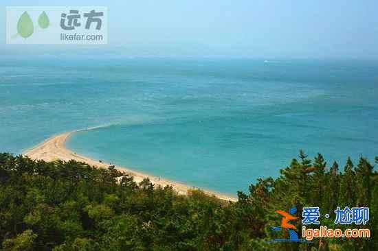 【山东长岛自助游】到长岛与万只海鸥成为朋友？