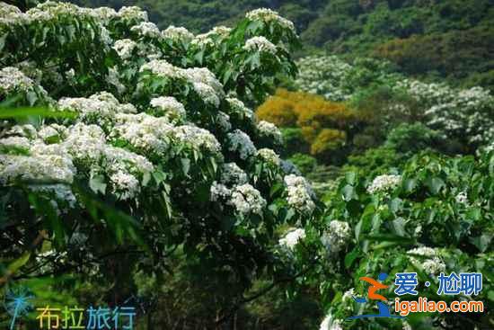 【第二次去台湾的理由】在台湾你可能没做的9件事？