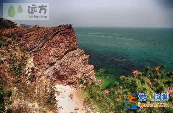 【山东长岛自助游】到长岛与万只海鸥成为朋友？