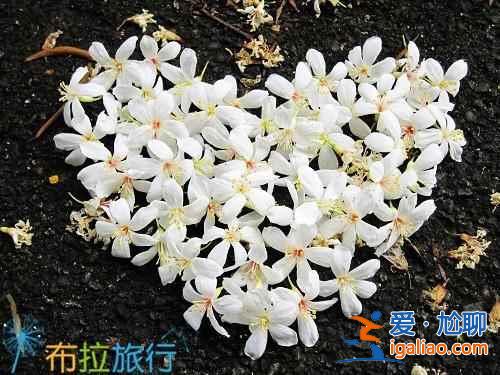 【第二次去台湾的理由】在台湾你可能没做的9件事？
