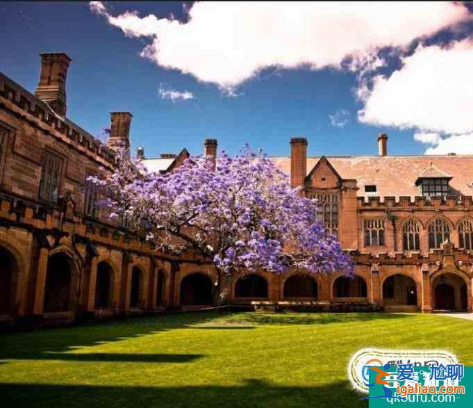 澳洲悉尼科技大学研究生(硕士)课程设置及申请要求解析? 澳洲悉尼科技大学研究生(硕士)课程设置及申请要求解析?