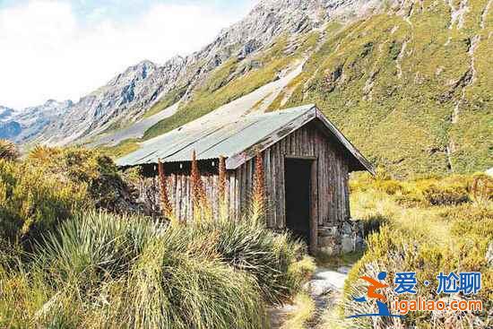 【新西兰旅游攻略】纯净新西兰美丽的地方？