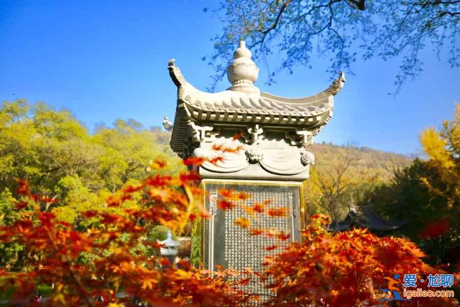 南京赏秋哪里好，南京赏秋好去处，南京赏秋攻略？