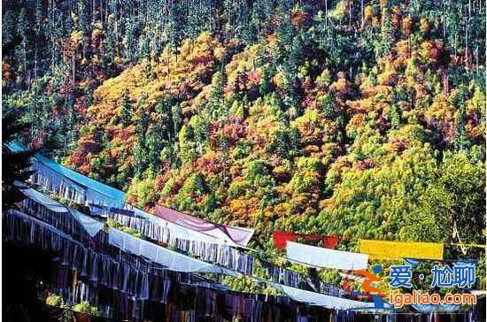 【9月国内旅游好去处】中国最惊艳的9个好地方？