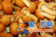 灰树花的做法大全？