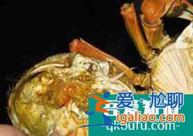 小K介绍广州哪里有特色小吃？