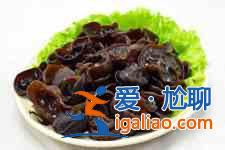 木耳做法？