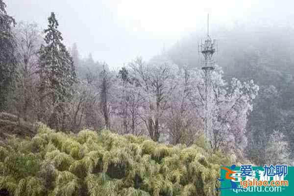 冬天遵义哪里好玩 冬季适合的温泉、赏雪等都有？
