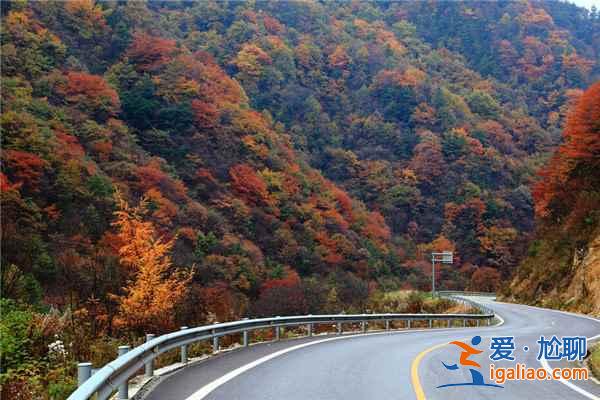 盘点国内最美的10条公路 最美的风景在路上？