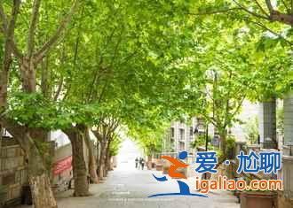 花果山在哪里，花果山在哪个省，花果山门票？