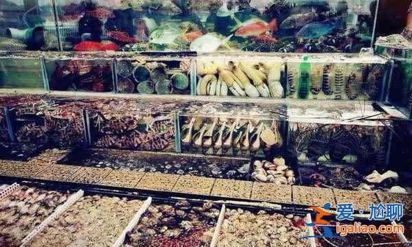 舌尖上的香港，香港美食大盘点？