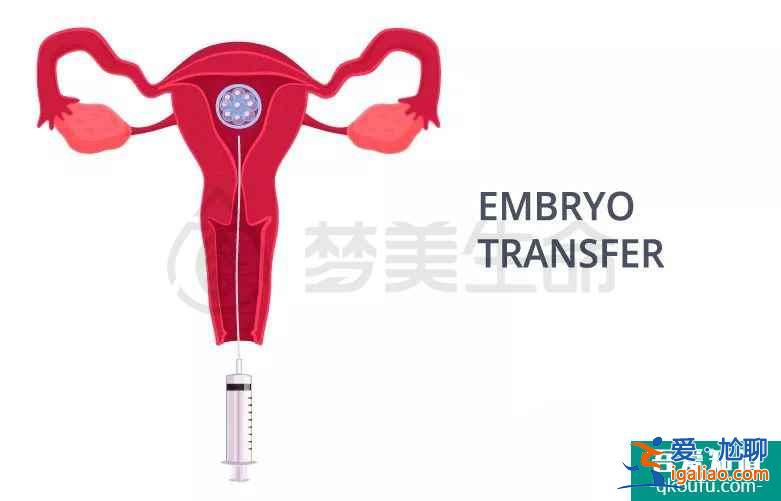 一份完整的试管婴儿攻略？