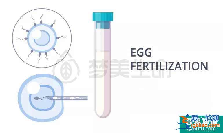 一份完整的试管婴儿攻略？