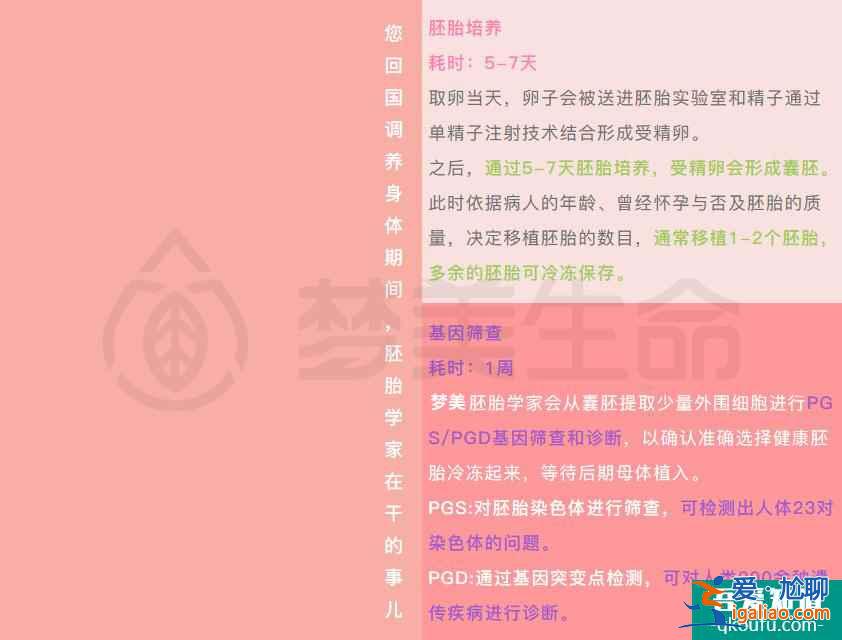 一份完整的试管婴儿攻略？