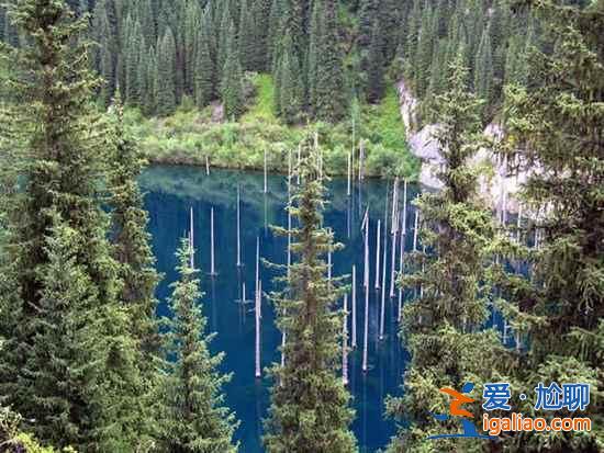 【卡因德湖美景】揭秘卡因德湖底森林奇观？