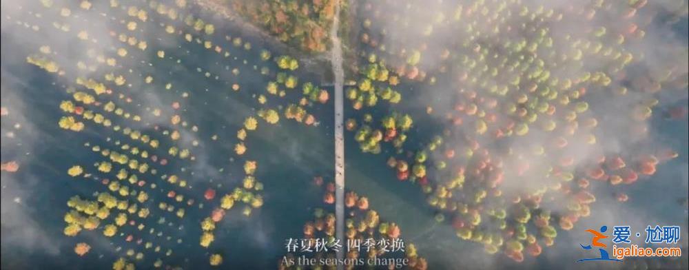 “春城之约”重逢蒙特利尔 《同一个家园》MV正式上线？