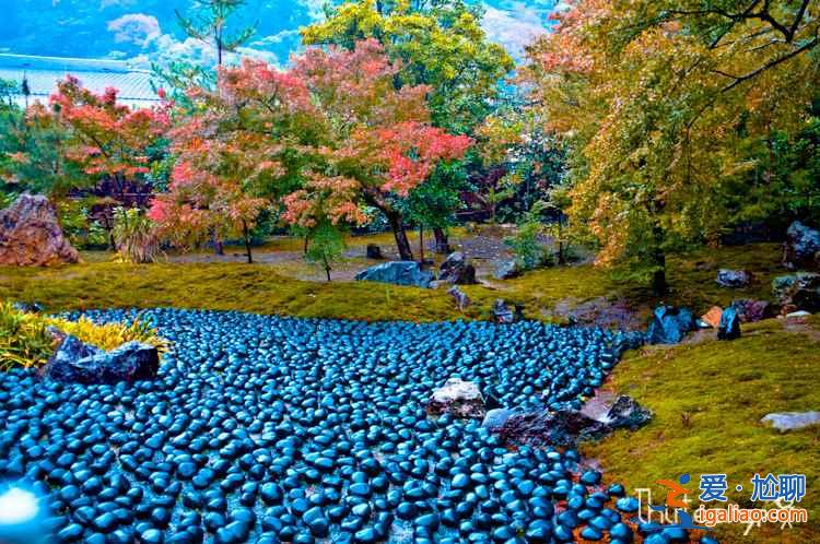 东京最佳旅游季节,去东京旅游最佳时间? 东京最佳旅游季节,去东京旅游最佳时间?