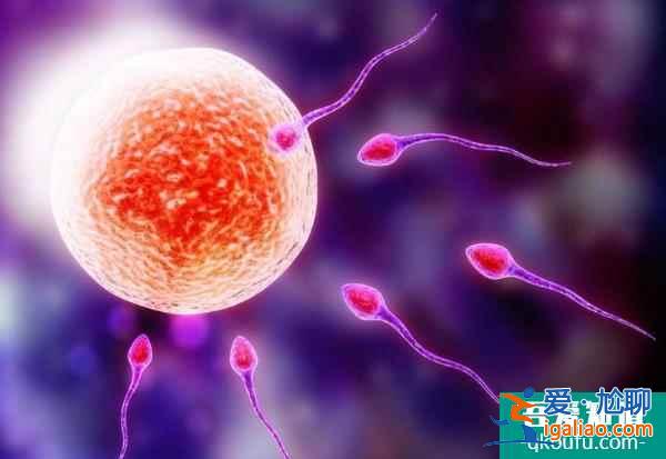 试管婴儿2020.1月答疑会：科学备孕生育健康宝宝？