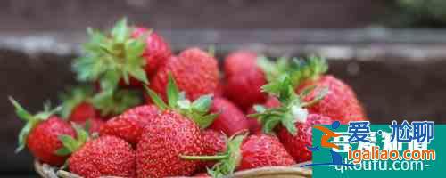 草莓种植 草莓高产栽培技术？