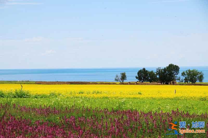 去青海湖有高原反应吗，去青海湖会有高原反应吗？