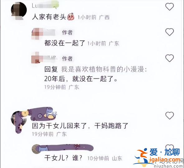 曝杨采钰陈金飞已离婚!网友惊呼杨采钰结婚了吗?离婚原因震惊众人
