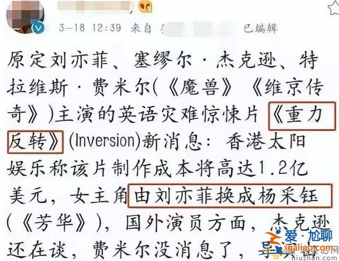 曝杨采钰陈金飞已离婚!网友惊呼杨采钰结婚了吗?离婚原因震惊众人