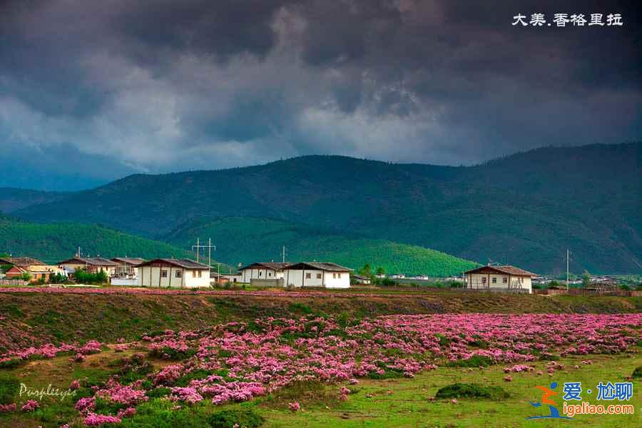 香格里拉好玩吗，云南香格里拉最佳旅游时间？