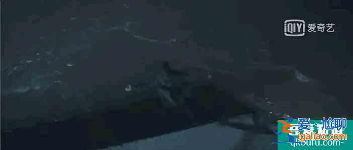 《在劫难逃》大结局：只是一场记忆治疗，张海峰回过去收养赵彬彬？