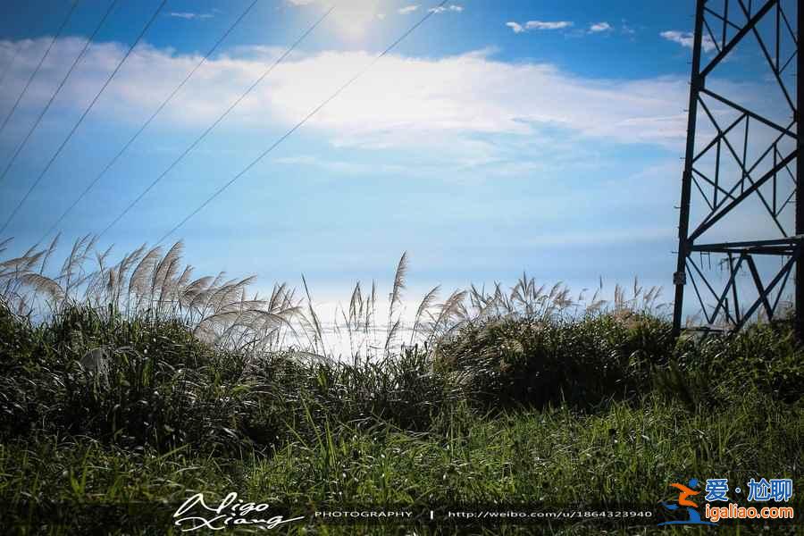 上海到枸杞岛船票多少钱，上海到枸杞岛怎么去？