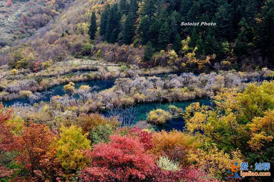 去九寨沟玩需要几天，去九寨沟玩几天合适？