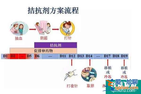 赴美试管婴儿：如何选择适合自己的促排方案？？