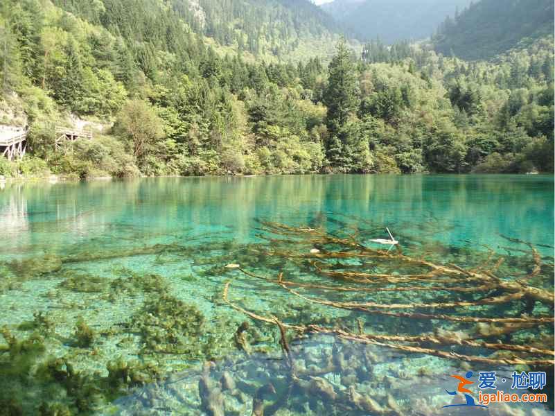失恋去哪旅游，失恋去哪里旅游？