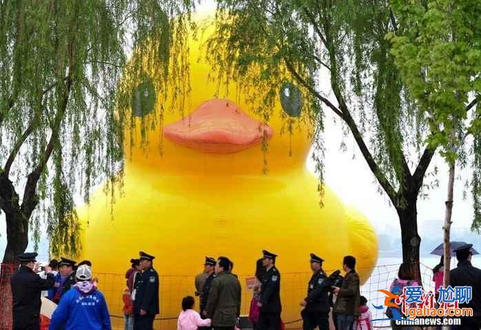 【济南大黄鸭】大黄鸭光临济南长清湖？