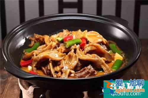 特色炆鹅掌 特色炆鹅掌做法？