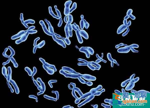 盘点:试管婴儿囊胚移植有哪些优势?? 盘点:试管婴儿囊胚移植有哪些优势??