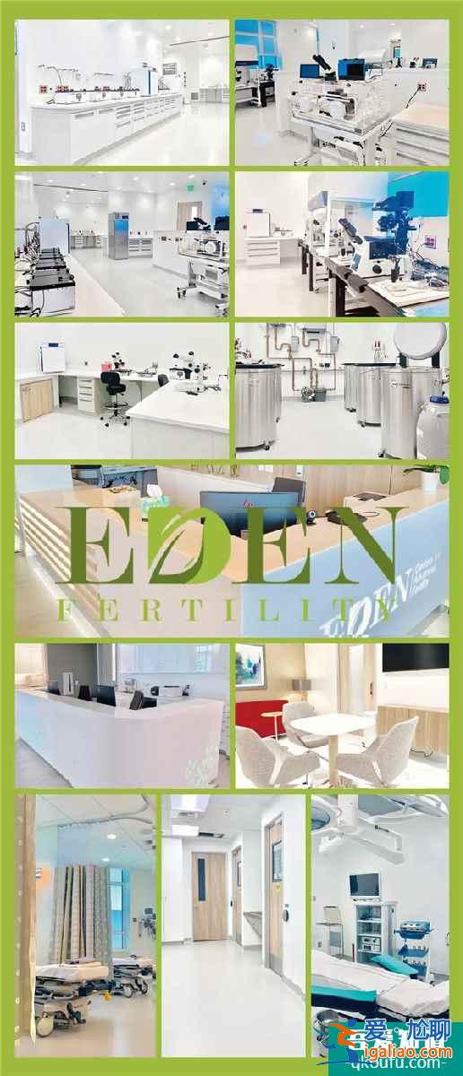 试管婴儿医院生命伊甸园EDEN？