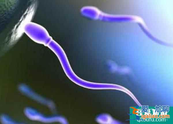 无精症去做试管婴儿,能生育健康宝宝吗?? 无精症去做试管婴儿,能生育健康宝宝吗??